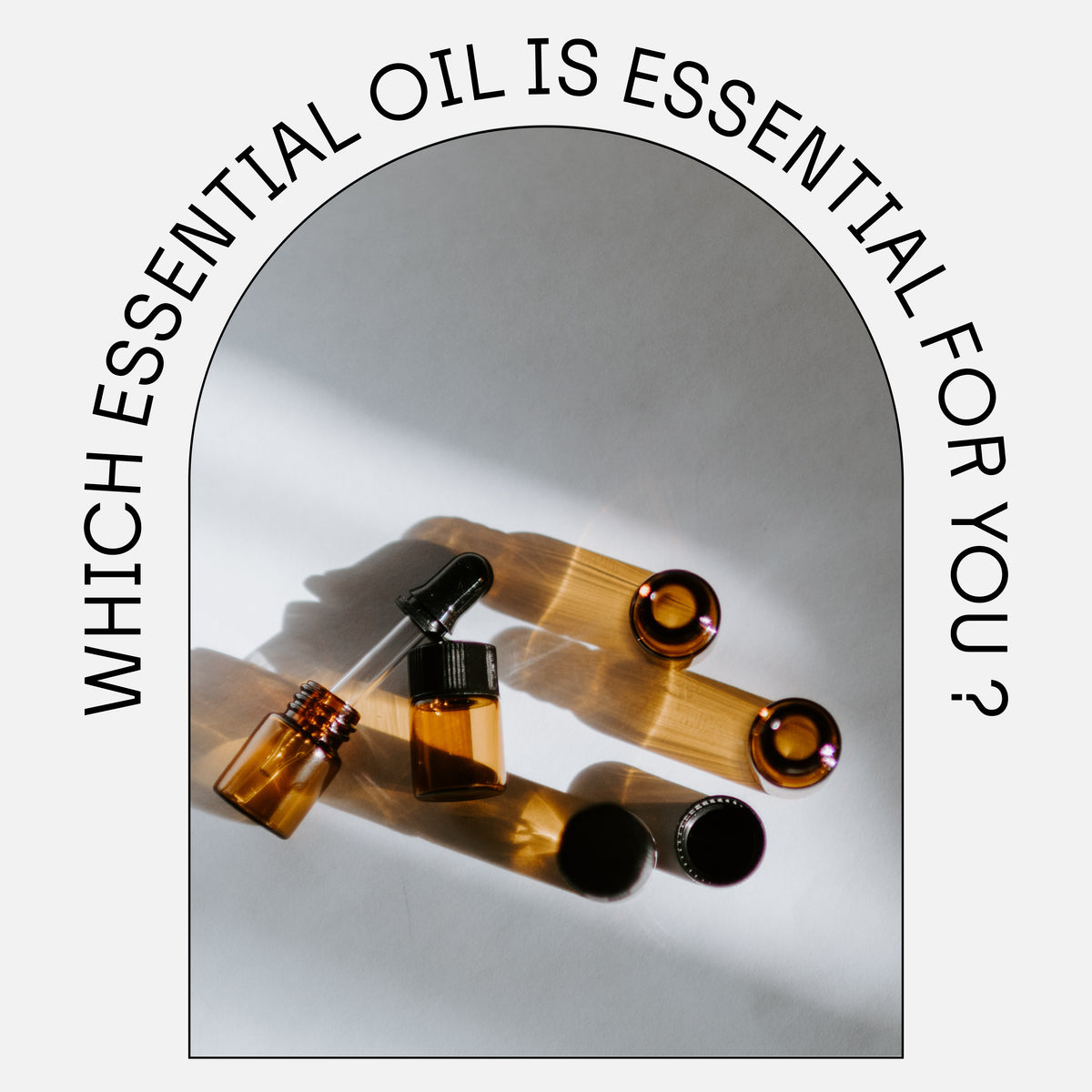 Which Essential Oil is Essential for You?