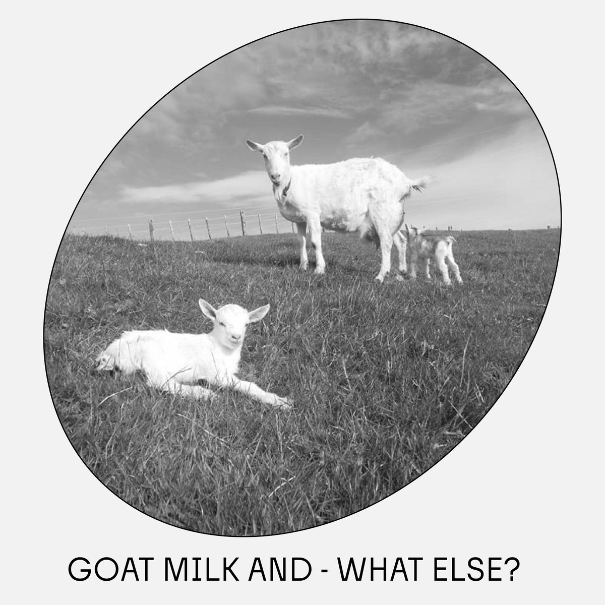 Goat Milk and - What else?